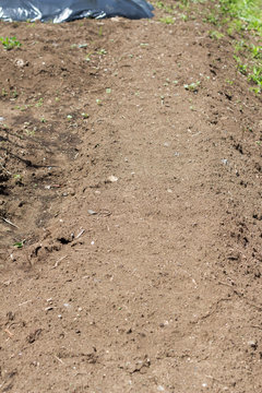 Plowed farmland