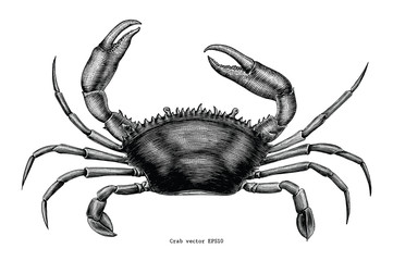 Crab hand drawing vintage clip art © channarongsds