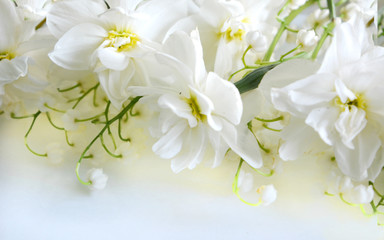 gentle romantic soft light floral composition of white terry flowers of daffodils and lilies of the valley. Pastel refined luxury, postcard, greeting, background