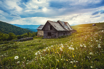 green mountain meadow with old house in the background.