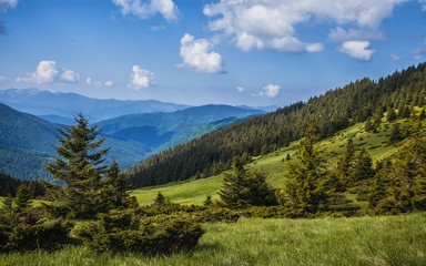 green mountain meadow with mountain range in the background.