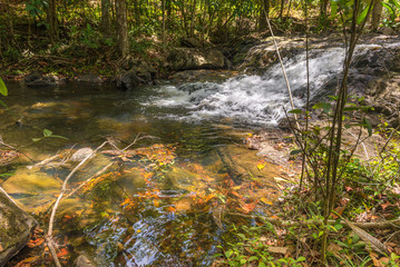 Waterfall and clear stream in the green forest