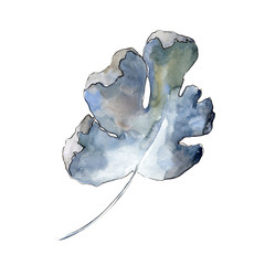 Gooseberry leaf in a watercolor style isolated. Aquarelle leaf for background, texture, wrapper pattern, frame or border.