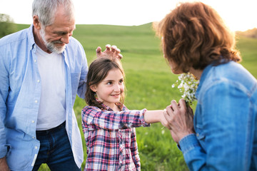 A small girl with her senior grandparents having fun outside in nature at sunset.