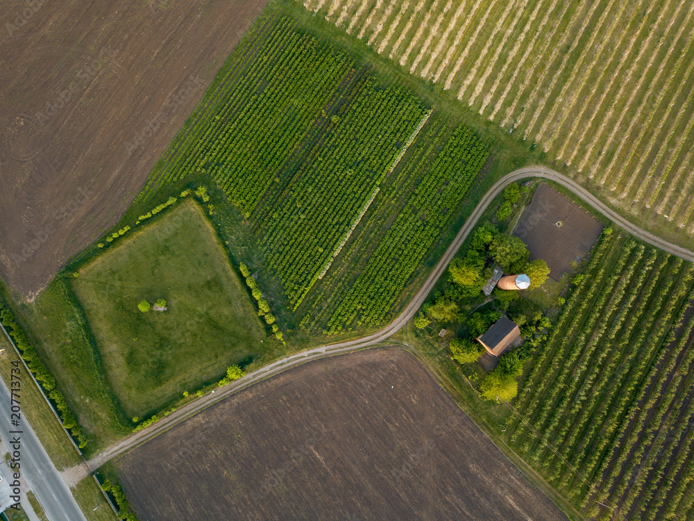 Poster aerial view agriculture field summer day