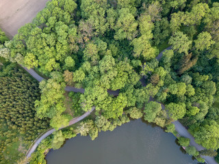 Top view of a green forest with trails and a lake