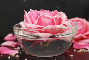 Pink Rose Flower in Soft Color, selective focus, Spa and Beauty Concept Black Background Copy space. Pink flower and Relax Salt.