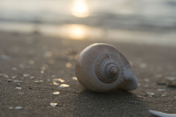 El Reino del Mar