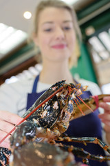 Closeup of lobster, fishmonger in background