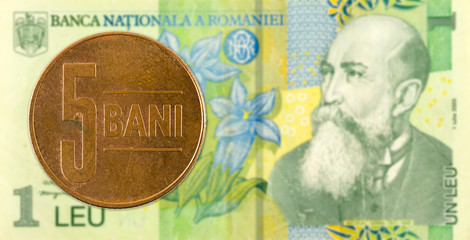5 romanian bani coin against 1 romanian leu bank note