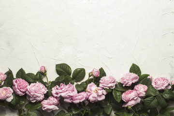Pink roses on a light stone background. flat lay, top view