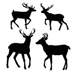 Naklejka premium deer silhouette, vector, illustration