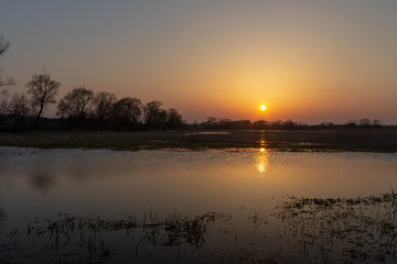 Fototapeta na wymiar Spring sunset over the river backwaters