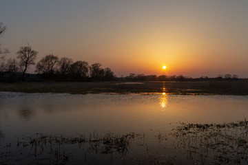 Naklejka premium Spring sunset over the river backwaters