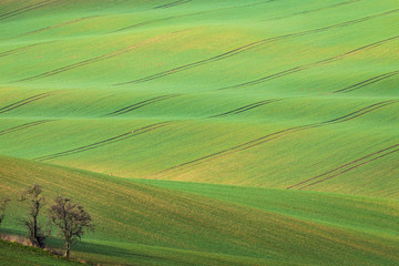 Rolling Hills, South Moravia, Czech Republic