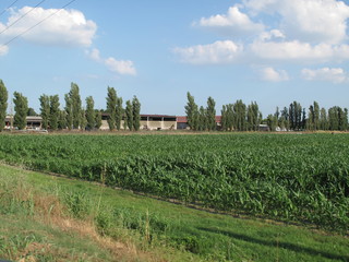 Fototapeta premium paesaggio di campagna