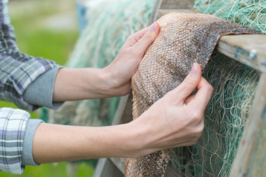 drying a fish skin