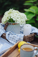 Summer breakfast in beautiful blooming garden. Tea with lemon, hydrangea flowers on wooden table with green background. Summertime and country slow living concept