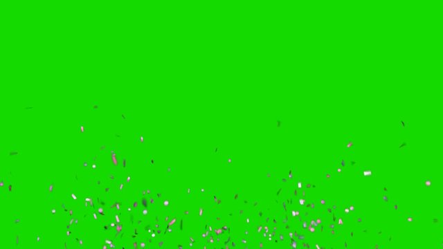 Realistic Purple Confetti Explosion And Falling Down. Green Screen Footage.