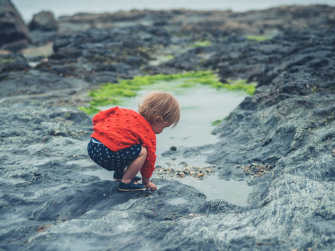 Little toddler exploring rock pool