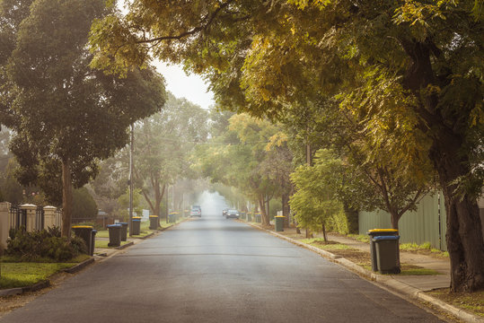 Australian foggy autumn morning in Adelaide suburbs with rubbish recycling on kerb