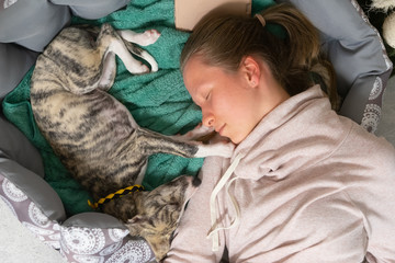 ein Mädchen ist zusammen mit Ihrem Whippet Hundewelpen eingeschlafen 