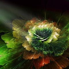 abstract flower, computer generated graphic