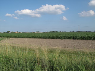 paesaggio agricolo in primavera