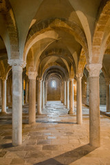 Fototapeta na wymiar Crypt with a vaulted ceiling and lots of columns, Basilica of San Pietro, Tuscania, Viterbo, Lazio, Italy, Southern Europe