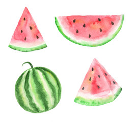 Hand drawn collection of watermelons. Set of watercolor fruit elements. 