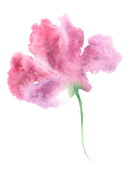 Watercolor illustration with beautiful iris.