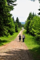 der weg ist das ziel