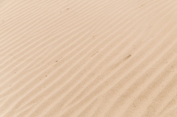 Fototapeta na wymiar Beautiful texture of the sand