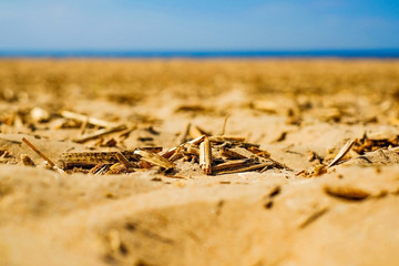 Sandy beach, yellow sand,