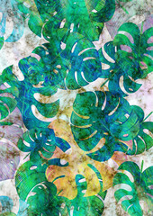 Grunge  Monstera Leaves