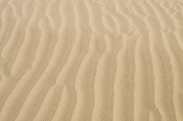 Fototapeta na wymiar The waves of sands