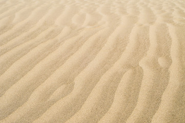 Fototapeta na wymiar The wavy sand in the hot desert