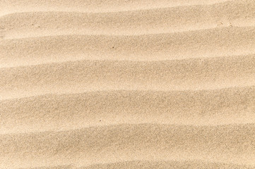 Fototapeta na wymiar A texture of the sand