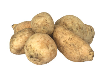 White yam