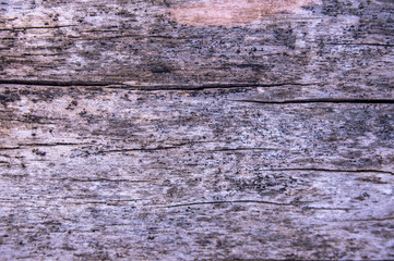 Hintergrund Holz
