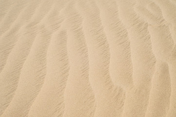 Fototapeta na wymiar The sand waves