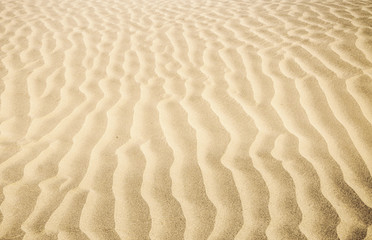 Fototapeta na wymiar Wavy sand dunes in the desert