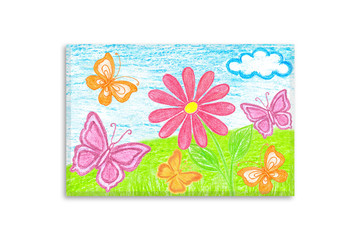 Summer motif canvas. Colored pencils drawing, author's design illustration. Red daisy flower and colorful Butterflies  in the field. Interior decor mock up