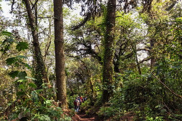 Hiking up the Volcano Acatenango, Guatemala