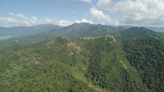 Aerial view of mountains covered with green forest, trees with blue sky. Slopes of mountains with tropical forest. Philippines, ,Luzon. Tropical landscape in Asia.