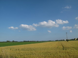 Fototapeta na wymiar paesaggio agricolo di campagna in primavera