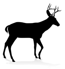 Deer Animal Silhouette