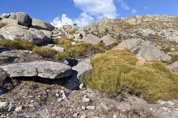Camino de las Serradillas en la Sierra de Gredos. 