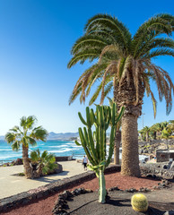 boardwalk and coastline in Puerto del Carmen, Lanzarote, Spain - 207732540