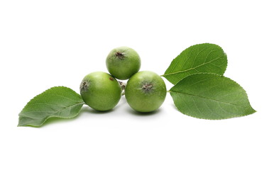 Organic young, green apples with leaves isolated on white background
